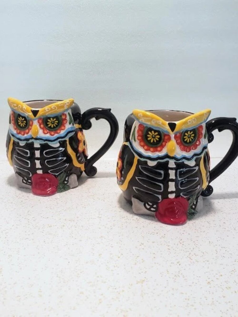 NEW Cracker Barrel Day of the Dead Owl Mugs Set of 2 Halloween Skull Cup HTF